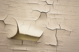 Dimitrina Sevova, Twenty-second series – Porcelain and Volcano. The Cracks and the Game, 2022. Installation view