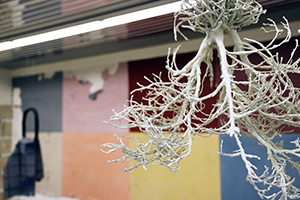 Dimitrina Sevova, Twenty-second series – Porcelain and Volcano. The Cracks and the Game, 2022. Installation view