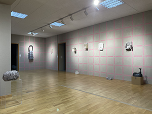 Dimitrina Sevova, installation at Verwoben im Anthropozän, 2023. Installation view