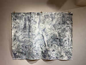 Dimitrina Sevova, installation at Verwoben im Anthropozän, 2023. Installation view