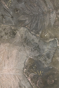 Dimitrina Sevova, Haunted Ecologies of Care: Hysteria, Ruins, and the Wild Reclaiming of Space (work in progress), 2025. Exhibition view