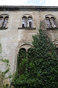 Ospedale Psichiatrico di Volterra, the wild reclaiming the space