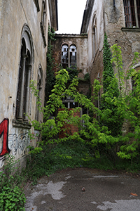 Ospedale Psichiatrico di Volterra, the wild reclaiming the space