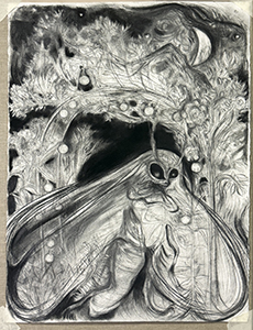 Dimitrina Sevova, Open Studio at Lilly Keller’s studio in Thusis. One of a series of drawings